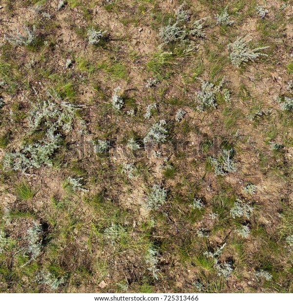 Rocky Soil Grass Seamless Texture Stock Photo (Edit Now) 725313466