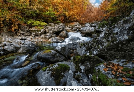 A rocky stream in the autumn forest. Forest stream in autumn. River stream in autumn forest. Rocky forest stream in autumn