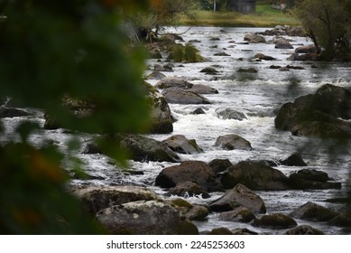 Rocky stream in summer green forest
 - Powered by Shutterstock