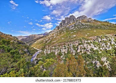 Rocky Table Mountain With Trees And Grass Below A Cloudy Blue Sky With Copyspace. Serene, Calm Slope With No People In Peaceful Natural Environment. Summit Is Located In Western Cape, South Africa