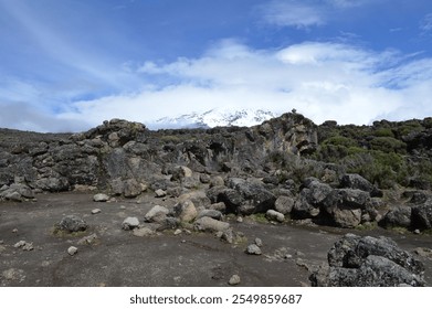 Rocky terrain on Kilimanjaro's Lemosho Route with snow-capped peak in the background. A mix of volcanic boulders and sparse vegetation under a blue sky - Powered by Shutterstock