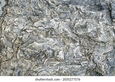 The Rocky Texture Of An Old Sea Stone.