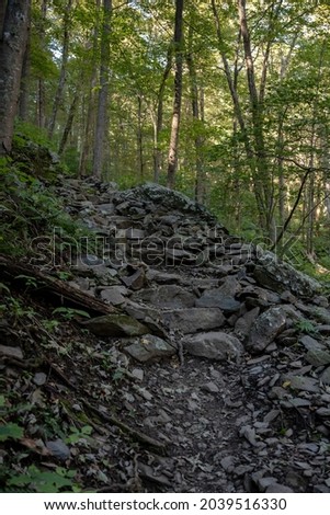 Rocky Trail Heads Uphill In Thick Forest in Shenandoah National Park