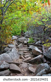 A Rocky Trail Through The Woods