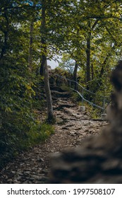 Rocky Trail In Vegetated Forest