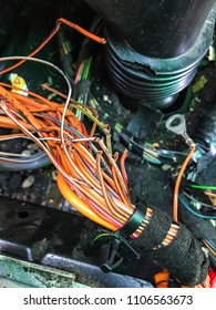 Rodent Damage To Car Wiring