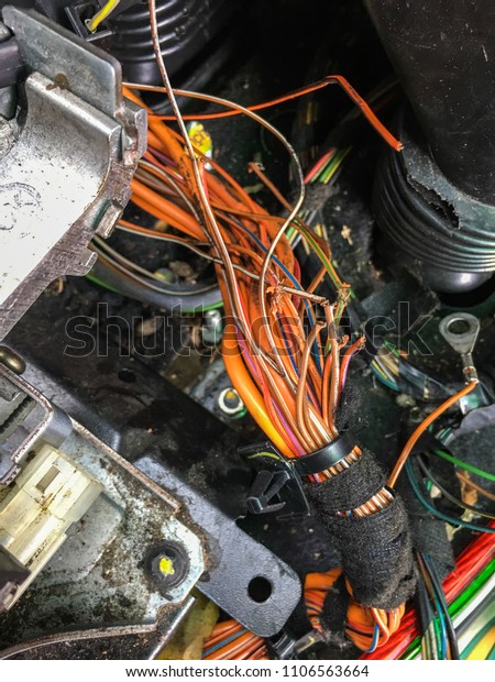 rodent damage to car\
wiring