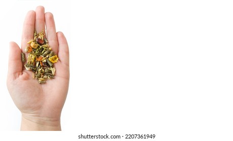 Rodent Food From Cereals And Seeds In Hand With A Place For Text On A White Background