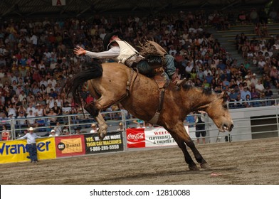 Rodeo: Bareback Riding