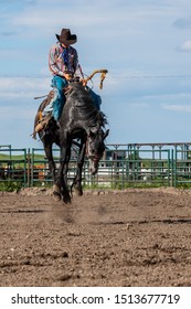 Rodeo Bronco Riding In Canada