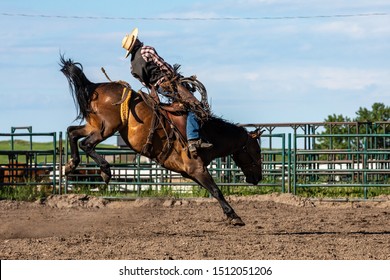 Rodeo And Bronco Riding At Pincher Creek Canada