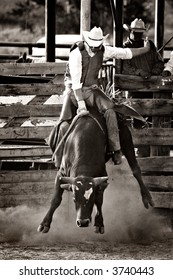 rodeo cowboy bull riding - converted with added grain
