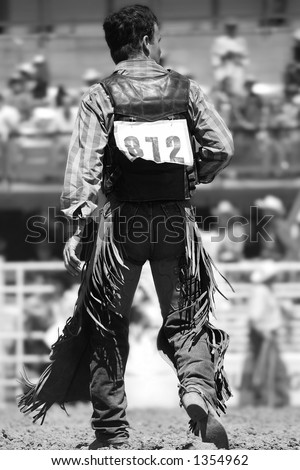 A Rodeo Cowboy walks back to the chutes after a successful ride (shallow focus, black and white).