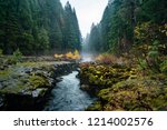 Rogue River flowing through Farewell Bend Campground in Oregon