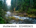 Rogue River flowing through Farewell Bend Campground in Oregon