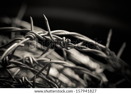 Roll of barbed Wire