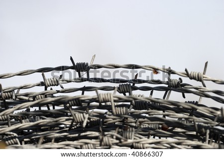 Roll of barbed wires