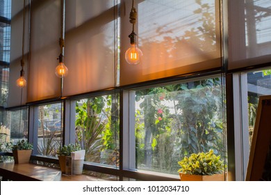 roll blinds to protect sunlight and lighting to decorate the coffee shop. - Shutterstock ID 1012034710
