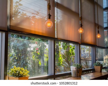 roll blinds to protect sunlight and lighting to decorate the coffee shop.