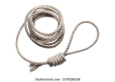 thin bungee cord roll