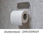 roll of toilet paper in holder on tiled wall