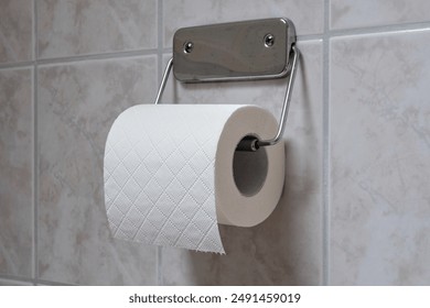 roll of toilet paper in holder on tiled wall