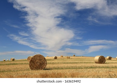 Rolled bales of hay in a country paddock in South Australia, Australia. 