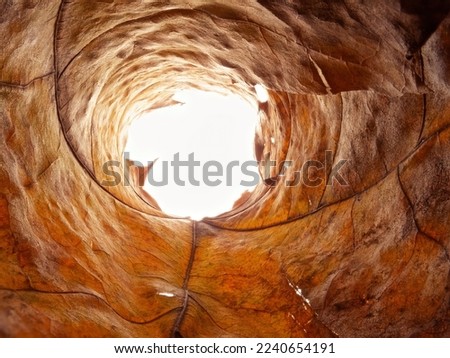Rolled up bright autumn leaf. White light at the end of a leafy tunnel. Beautiful natural texture, round frame