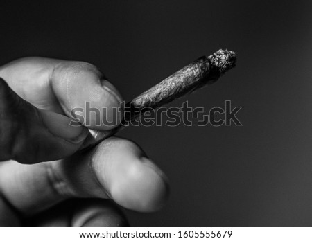 rolled cigarette. Nicotine addiction. Handmade cigar