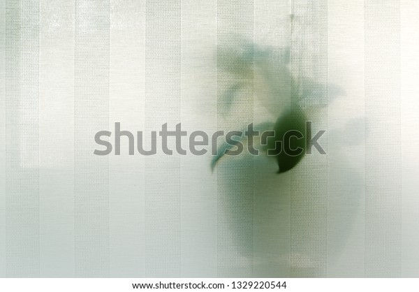 Rolled curtains. Semitransparent canvas of\
textured curtain fabric and the silhouette of a home plant behind\
it. Contour sunlight.