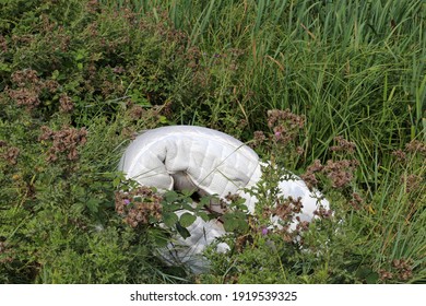 Rolled Mattress Dumped In The Countryside