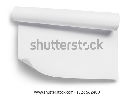 Rolled sheet of white paper, isolated on white background