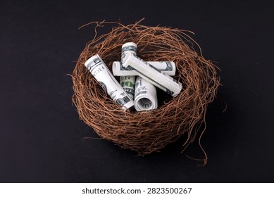 Rolled US dollar bills nested in a bird's nest on dark background, symbolizing financial security, savings, and investment concepts.