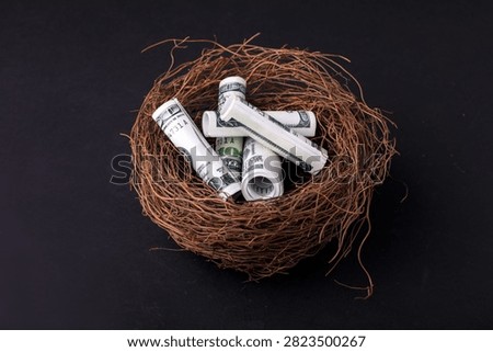Rolled US dollar bills nested in a bird's nest on dark background, symbolizing financial security, savings, and investment concepts.