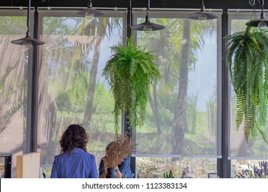 Roller Blinds And Hanging Lamp.