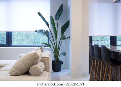 Roller blinds in the interior. Roller shades white color on the windows in the living room. A houseplant and a sofa are in the room. Motorized curtains in the smart home. 