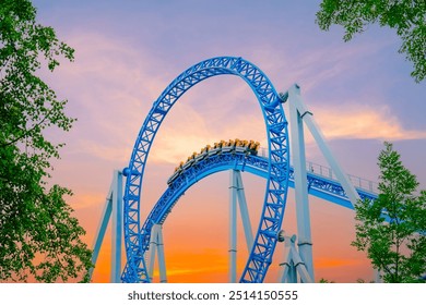 Roller coaster cart and people riding it goes through a loop upside down in green trees bushes city park sky sunset. Loop metal frame roller coaster in an amusement park.