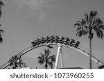 Roller coaster at the theme park