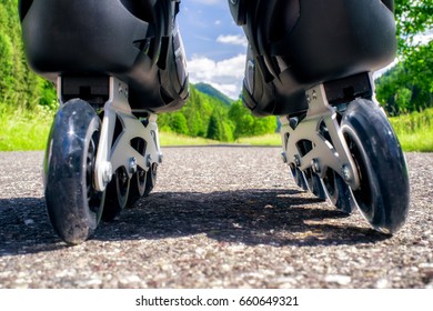 Roller skates. Inline skating on asphalt road in nature