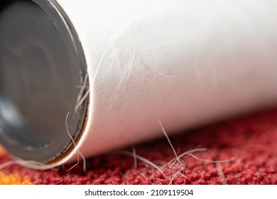 Roller With Sticky Surface For Cleaning Pet Hair