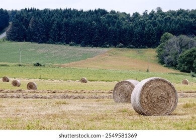 Rollin Hay Bales in a Wide Open Field - Powered by Shutterstock