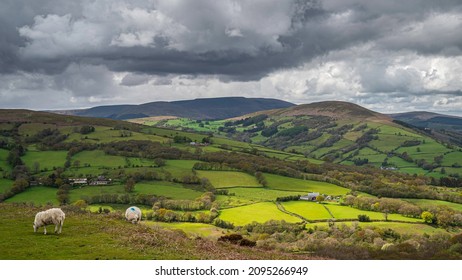 The rolling agricultural hills of mid Wales. The landscape is Talybont, on a cloudy day, with a shaft of sunlight spotlighting a small section of the countryside