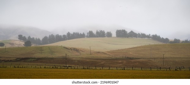 Rolling Countryside Of Central Otago In The Fog