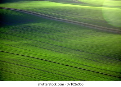 Rolling Fields