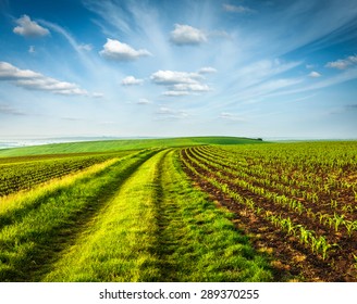 Rolling fields of Moravia, Czech Republic - Shutterstock ID 289370255