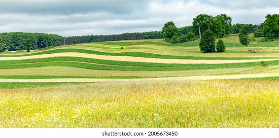 Rolling fields in Northern Michigan