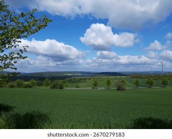 Rolling Fields and Trees under Cloudy Sky