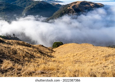Rolling Fog Covering Gap Between Mountains