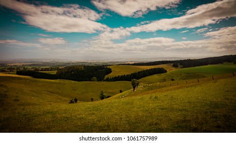 Rolling Foothills With Meadows Andsheep Grazing 