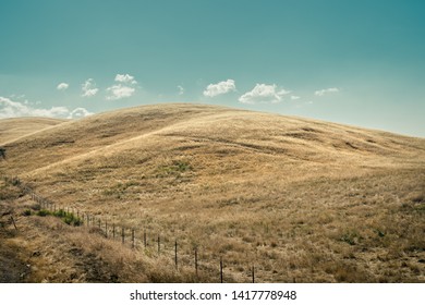 Rolling Golden Hills In Central California.